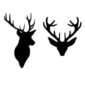 Deer Head SVG Cut File, Deer Head Vector Instant Download Wild & Jungle Animals SVG