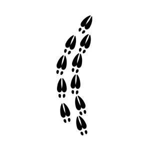 Deer Hoof Trace SVG Cut & Clipart File Christmas SVG