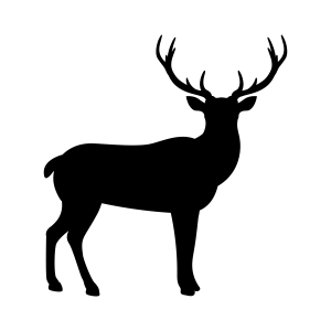Deer Silhouette SVG, Deer Basic Clipart SVG Vector Design Wild & Jungle Animals SVG