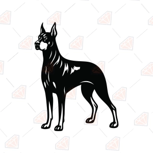 Doberman SVG, Standing Doberman Silhouette