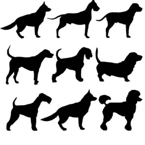 Dog Bundle SVG Files, Dog Breeds Silhouettes Clipart Dog SVG