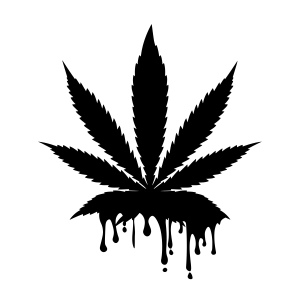Dripping Pot Leaf SVG, Dripping Cannabis SVG, Mariuajana SVG Vector Illustration