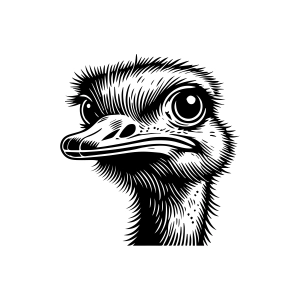 Emu Face SVG, Emu SVG PNG Bird SVG