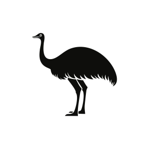 Emu Silhouette, Emu SVG PNG Bird SVG