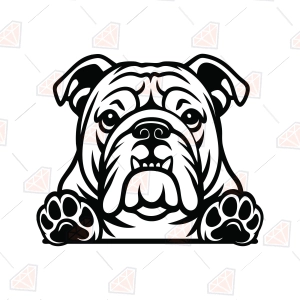 English Bulldog Face SVG – Peeking Bulldog Cut File