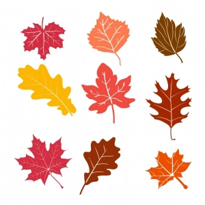 Fall Leaves Bundle SVG Cut and Clipart Files Flower SVG