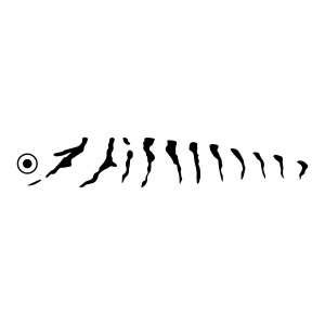 Fishing Lure SVG, Lure Pattern SVG Fishing SVG