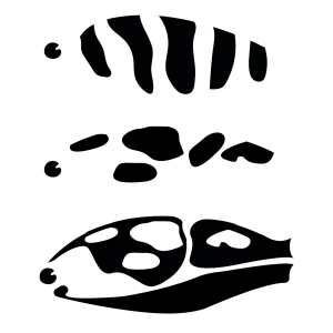 Fishing Lure SVG Bundle, Instant Download Fishing SVG