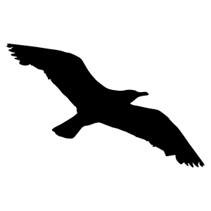 Flying Peregrine Falcon Silhouette SVG File Bird SVG