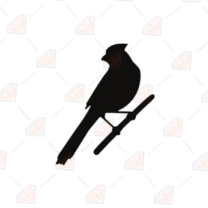 Free Cardinal SVG Cut File, Cardinal on Branch SVG Free