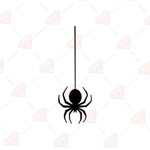 Free Hanging Spider SVG, Spider on a Thread Cut File