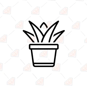 Free Succulent SVG Cut File Svg