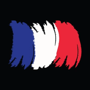 French Flag SVG with Distressed Style Flag SVG