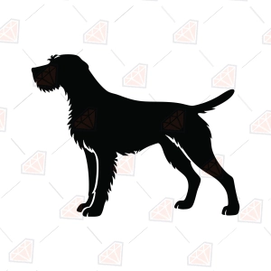 German Wirehaired Pointer Silhouette SVG
