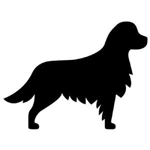 Golden Silhouette SVG, Golden Vector Instant Download Pets SVG