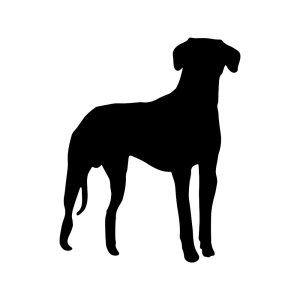 Great Dane SVG, Great Dane Silhouette Dog SVG