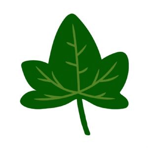 Green Ivy Leaf SVG, Ivy Leaf Vector Instant Download Leaves SVG