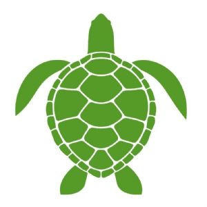 Green Sea Turtle SVG Cut File, Sea Turtle Instant Download Sea Life and Creatures SVG