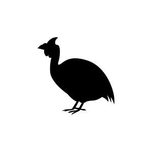 Guinea Fowl SVG, Guinea Fowl Silhouette Bird SVG