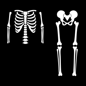 Halloween Skeleton Costume SVG, Spooky Cut File for Cricut & Silhouette Halloween SVG