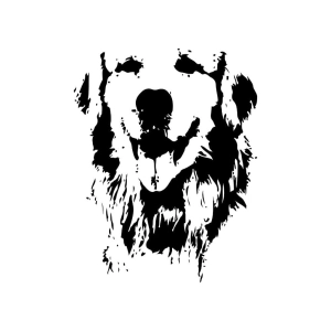 Golden Retriever Face SVG, PNG, JPEG Pets SVG