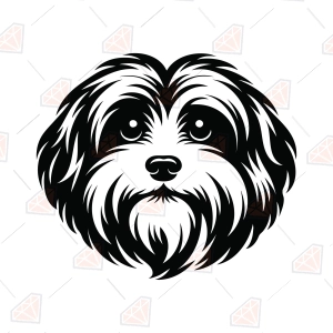 Havanese SVG – Havanese Dog Cut File