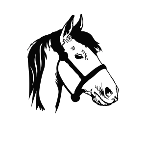 Horse Head Draw SVG, PNG, JPEG Horse SVG