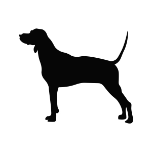 Hound Dog Silhouette SVG Vector File Dog SVG