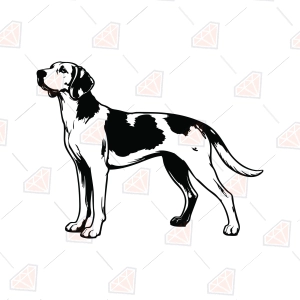 Hound Dog SVG