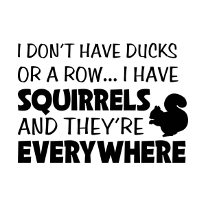 I Don't Have Ducks or A Row SVG, Squirrels SVG T-shirt SVG