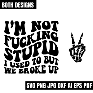 I'm Not Fucking Stupid SVG, I Used to But We Broke Up SVG Funny SVG