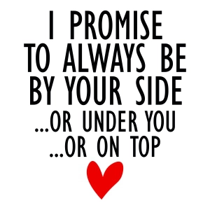 I Promise To Always Be By Your Side Or Under You Or Top On You SVG, Funny Valentine's SVG Valentine's Day SVG