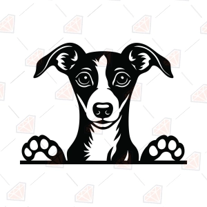 Italian Greyhound Peeking SVG, Greyhound Dog SVG