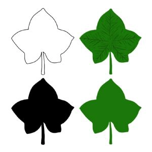 Ivy Leaf Bundle SVG, Ivy SVG Leaves Download Leaves SVG