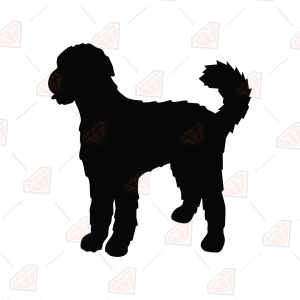 Labradoodle Silhouette SVG