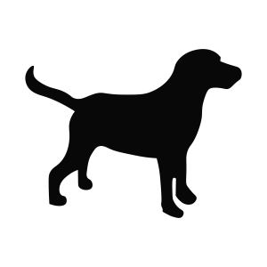 Labrador Dog Silhouette SVG, Cut file Dog SVG