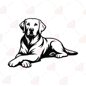 Labrador Retriever SVG Cut File