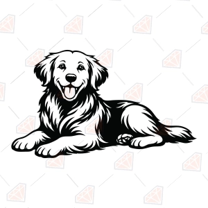 Laying Golden Retriever SVG