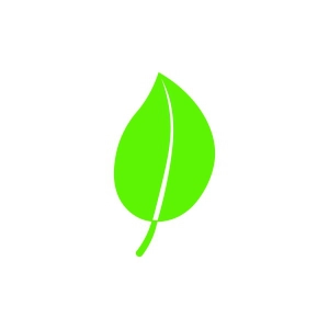 Leaf Icon SVG, Simple Leaf SVG Icon SVG