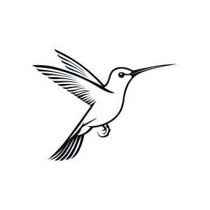 Line Art of A Hummingbird SVG, Bird SVG Bird SVG