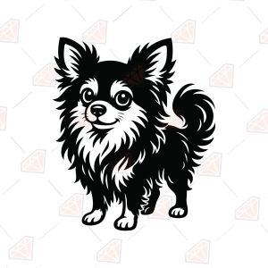 Long Haired Chihuahua SVG