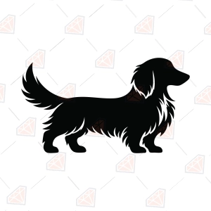 Long Haired Dachshund SVG – Dachshund Silhouette