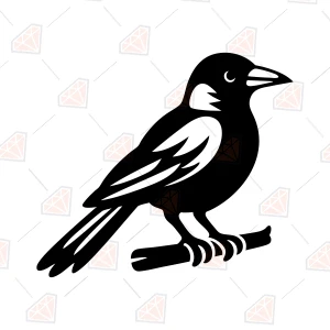Magpie SVG, Australian Magpie Bird Silhouette