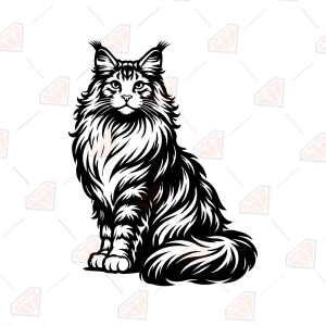 Maine Coon Cat SVG