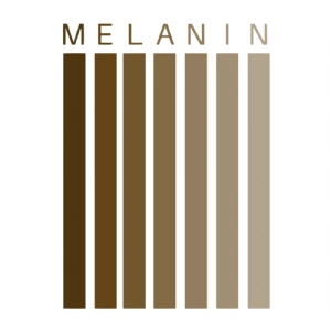 Melanin Svg Cut Files Black Lives Matter