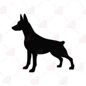 Miniature Pinscher SVG – Min Pin SVG Silhouette