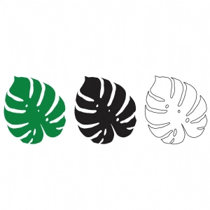 Monstera Leaves SVG Bundle, Monstera Bundle Vector Files Leaves SVG