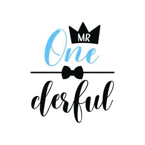 Mr Onederful Birthday SVG, 1st Birthday Boy Shirt Cut File