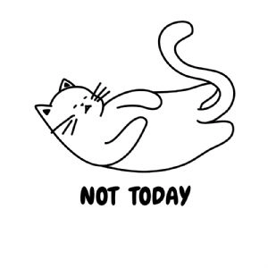 Not Today Cat, Not Today SVG Cat SVG