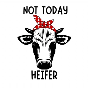 Not Today Heifer SVG Cut Files | Funny Cow Shirt SVG Funny SVG